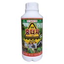 상봉바다마트 | 2월 기준으로 사주도 넘어간다고