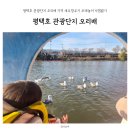 평택호관광단지 | 평택호 관광단지 오리배 가격 새우깡주기 모래놀이 낙엽밟기