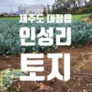 인성리마을회관 네이버블로그