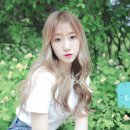 가을 노컷뉴스
