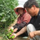 광산구-018 이미지