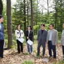 소호 숲 이미지