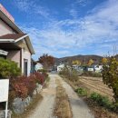 감문면짱 이미지