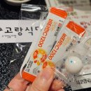 부산덕천고기집 뉴코아맛집 고랑식당 꽃갈비살 숙성돼지갈비 식사후기