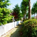 오번풀빌라 이미지