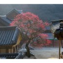 지리산식당 이미지