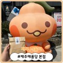 [제주 나들이] 귀여운 퐁당패밀리 굿즈가 있는 소품샵! '제주애퐁당 본점'