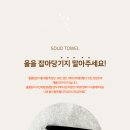 솔리드호텔
