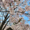 신석체육공원 입구 이미지