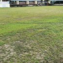 천안와촌초등학교 이미지