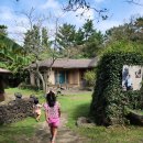 돌하르방미술관 이미지