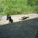 해인약국 이미지