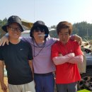 오니라 Daum카페