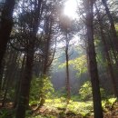 한양대학교 상담심리대학원 이미지