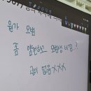 이인초등학교 | 04. 공부하기 싫어서 백문백답