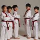 성동 태권도 이미지