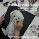쉽게 배우는 연필 초상화 | 힐즈 성인취미미술학원, 초보자도 쉽게 배우는 반려동물 초상화, 성인 취미 미술, 반려동물초상화 주문제작