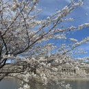 사우스인더스트리