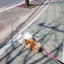 화원연합동물병원 이미지