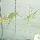 혁진카서비스 이미지