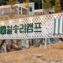 월송캠프 네이버블로그