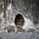 보문산 약국 이미지