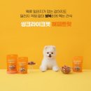 라이크펫 이미지