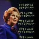 경희대장안태권도 이미지