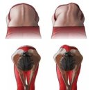 넘버원척추골반교정센터 이미지