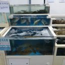 대림수산 이미지