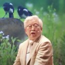 세월호 참사 원인의 역사는 41년 전 한강유람선에서-해운업 경험 없는 세모가 한강유람선 운영사로 선정 이미지