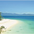 6. Great Barrier Reef _그레이트 배리어 리프 (대초보)...Top 10 Best Diving Places Of The World 이미지