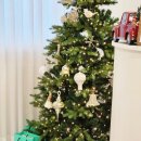 데일리앤스파 이미지