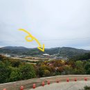 다뷰 | 청도 소싸움경기장 근처 프로방스뷰 피아노 라이브 다뷰커피