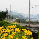 하평해변 이미지