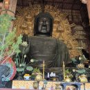 행정사 다인 이미지