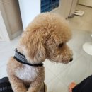 조일구내식당 | [여름맞이 PT 챌린지] 체형 변화와 식단기록 - 6회차