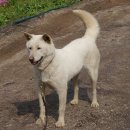 두목농장 이미지