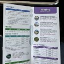 강원도 동해 가볼만한곳 [무릉별유천지] 여행 후기