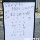 비소(부강)-일-2 | 세종 부강맛집 부강시장집 / 점심 제육은 국룰
