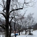 펜션600캠핑장 | 자연 속 힐링 스팟 산, 계곡, 저수지, 바다 모두 볼 수 있는 캠핑장