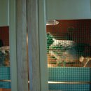 절골농장 이미지