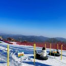 (주)진튜브 | 정선 하이원 스노우월드 할인 주차 오픈런 후기, 가족썰매 래프팅썰매 후기