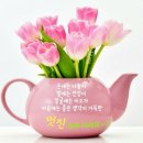 사랑으로 이미지