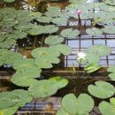 대구보조기상사 이미지