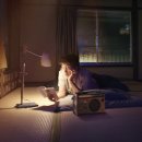 퍼펙트독 이미지