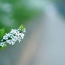 청마루 한우 이미지