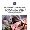 홍집농장 이미지