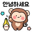 국수나무충남 이미지