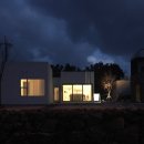 어라이브01
